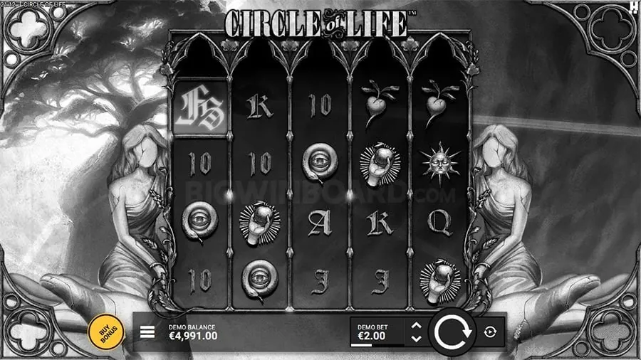 Gaming Provider D